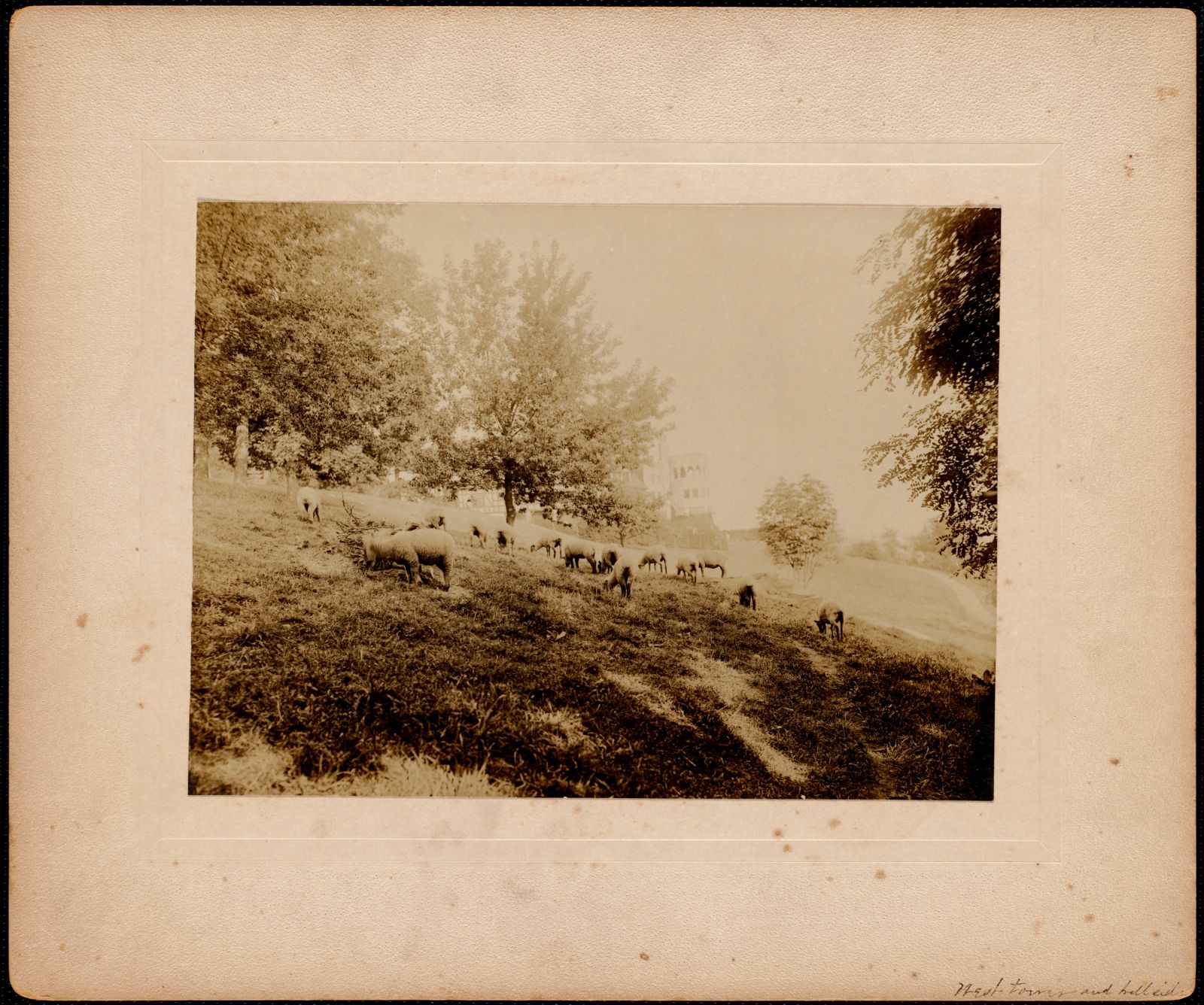 Shadow Brook: west tower and hill side. about 1895–1899.