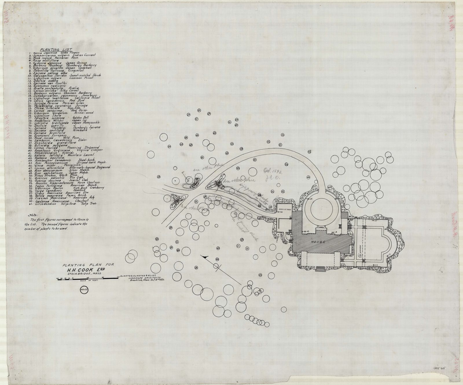 Plan 65, 4 October 1893. Planting plan with the species key, numbers 1 to 61, initialed J.C.O. Every later plant number refers back to it.