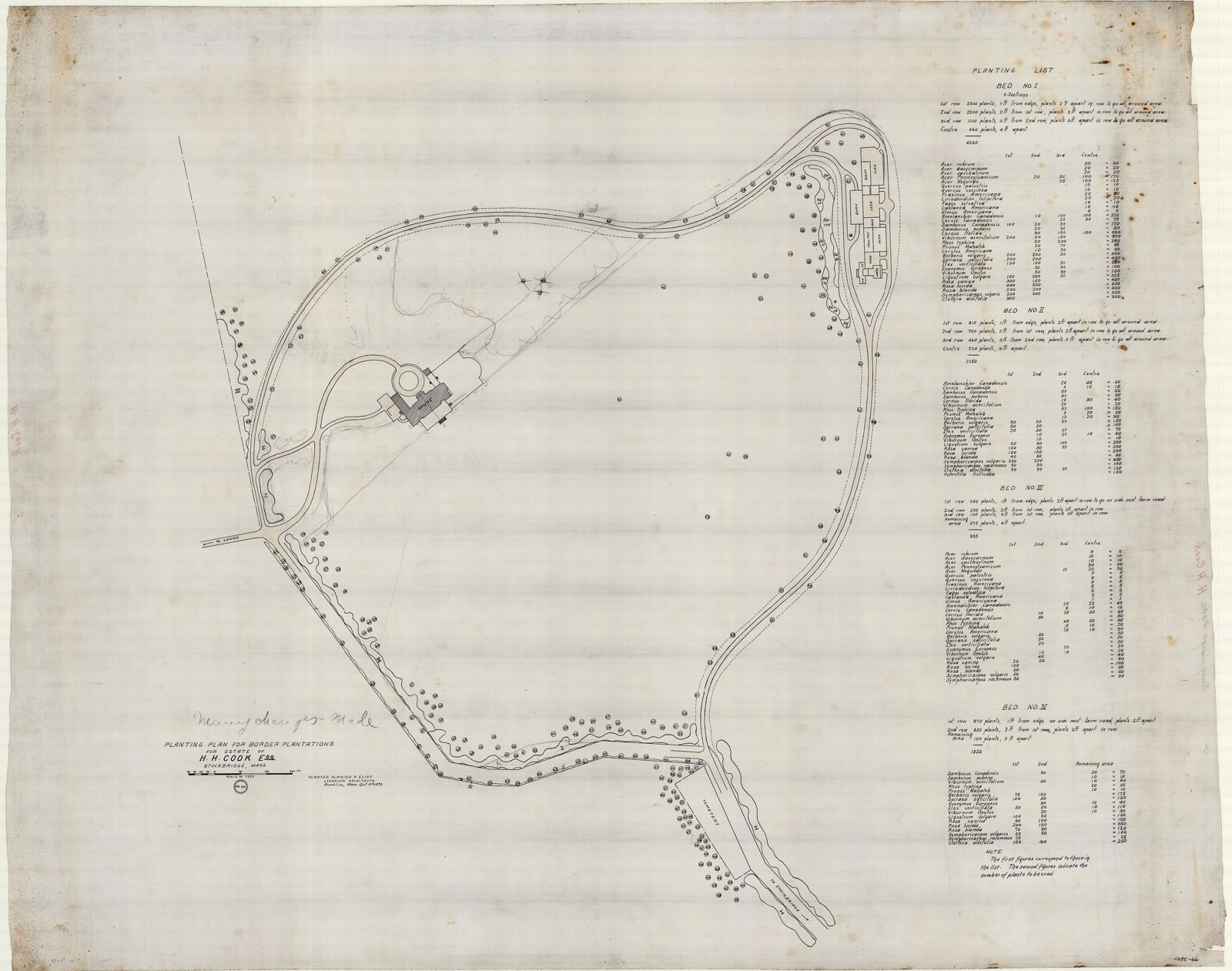 Plan 66, 5 October 1893. The border plantations: four beds around the boundary, set out row by row.