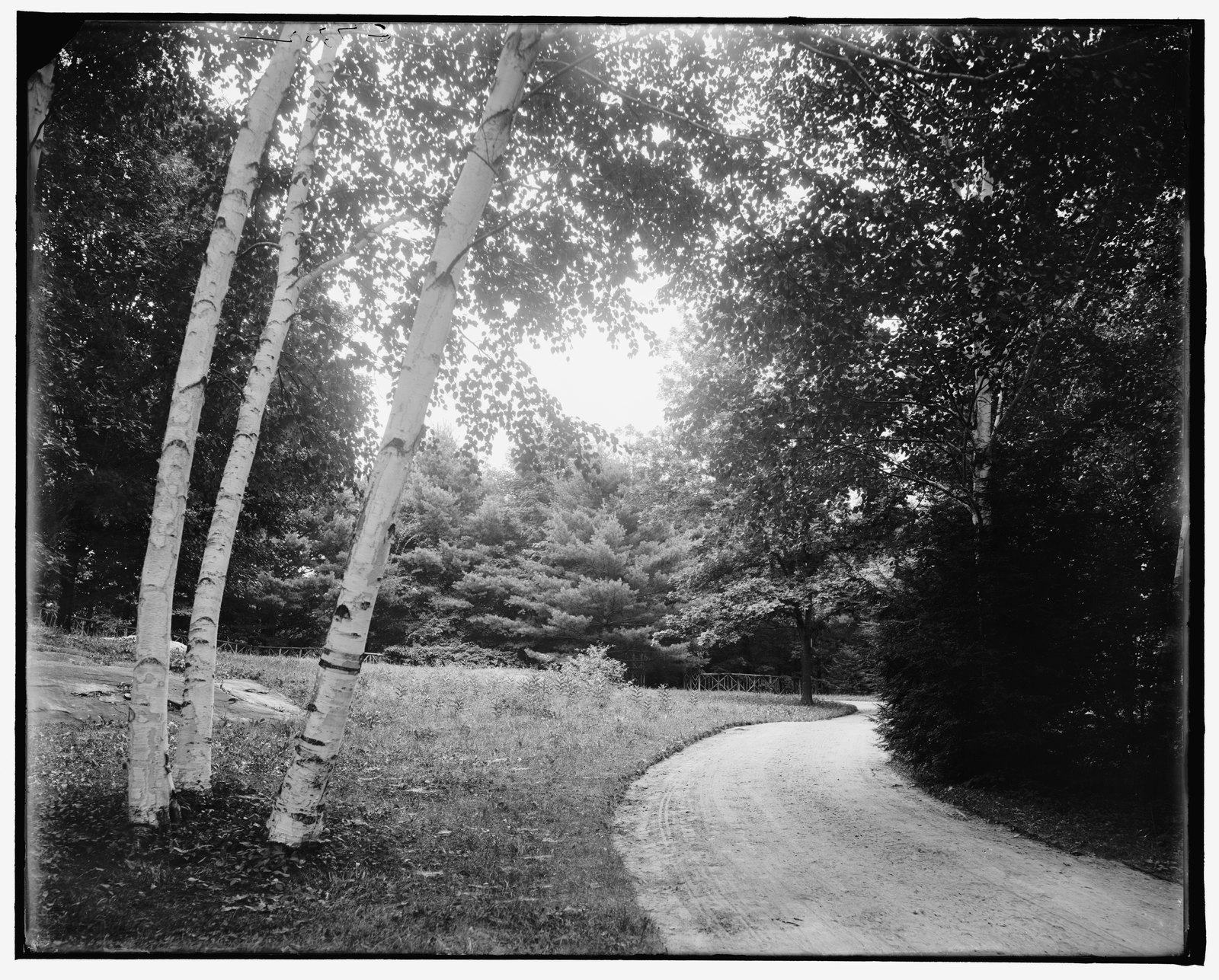 “[Lenox, Mass., road to Stonover]” About 1900–1910. LC-D4-39872.