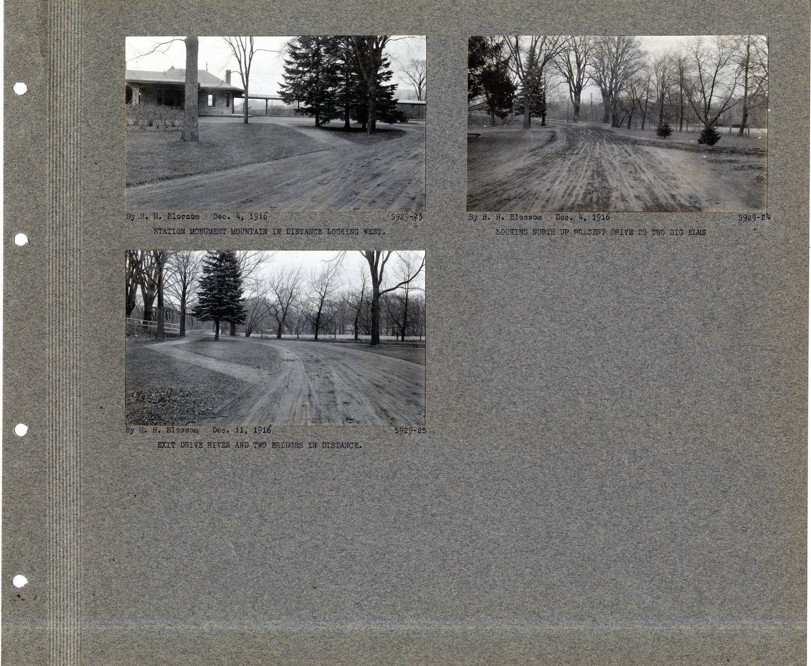 Mounted pages from the album.