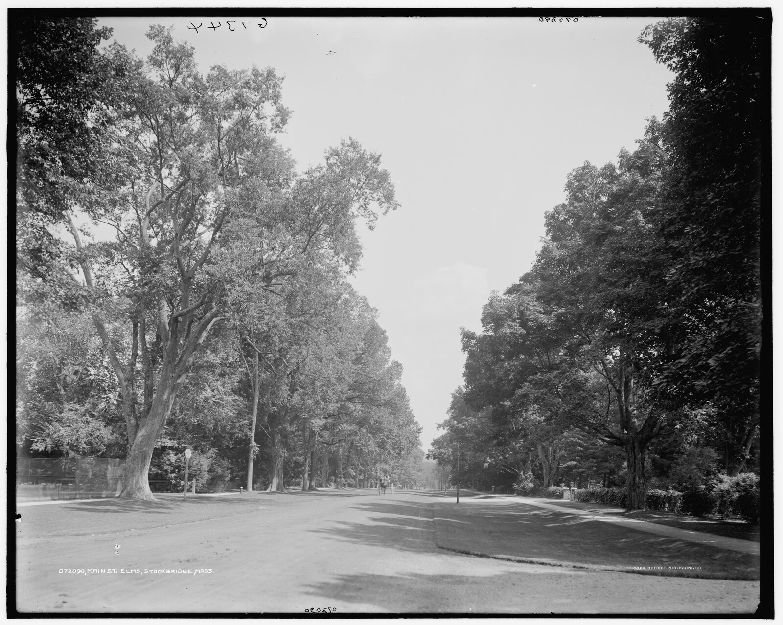 “Main St., elms, Stockbridge, Mass.” Detroit Publishing negative 072090, catalogued 1905.