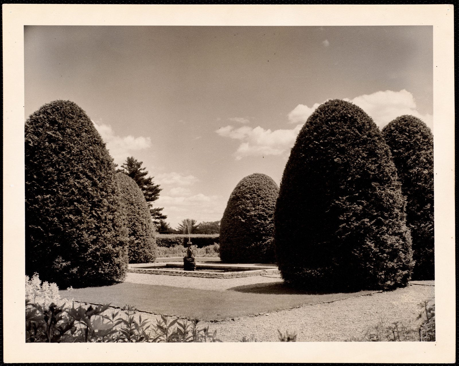 The Mount: trees and fountain. 23 June 1941.