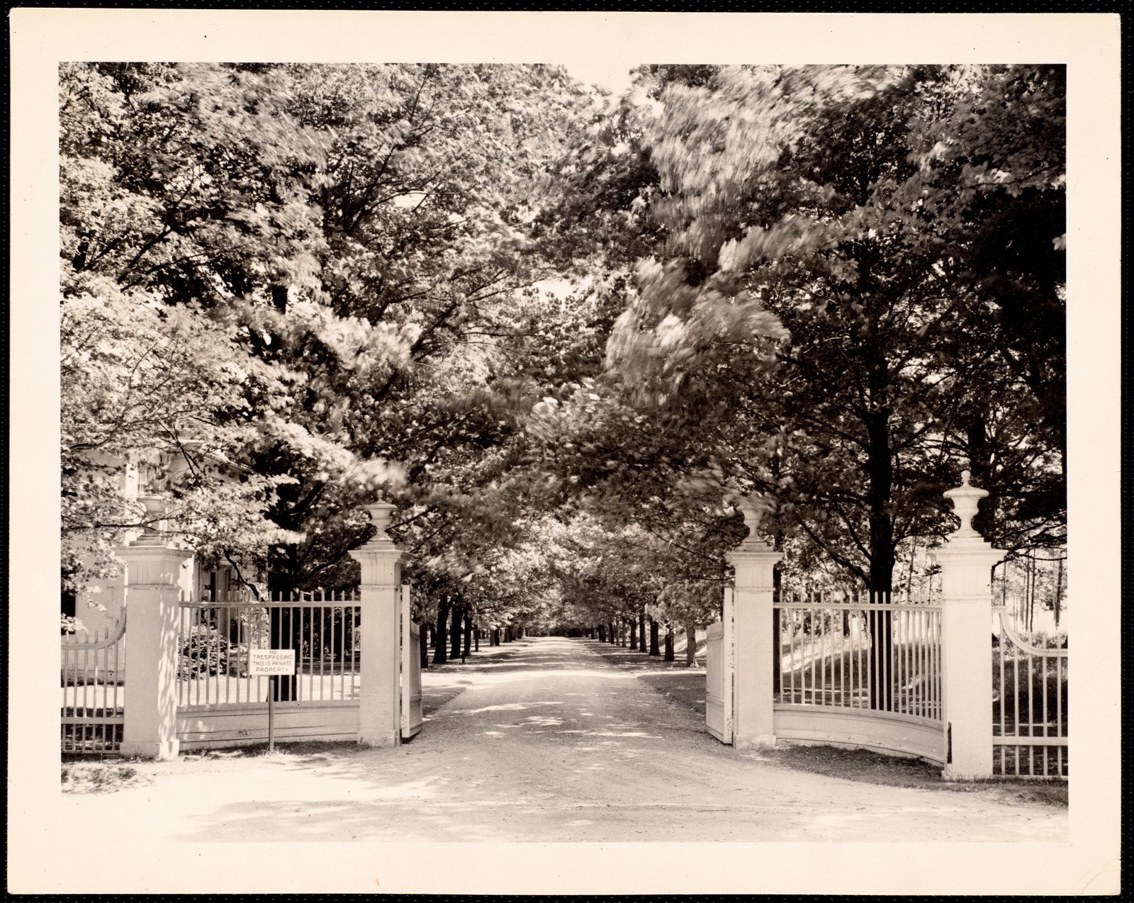 The Mount: gates and driveway. 23 June 1941.