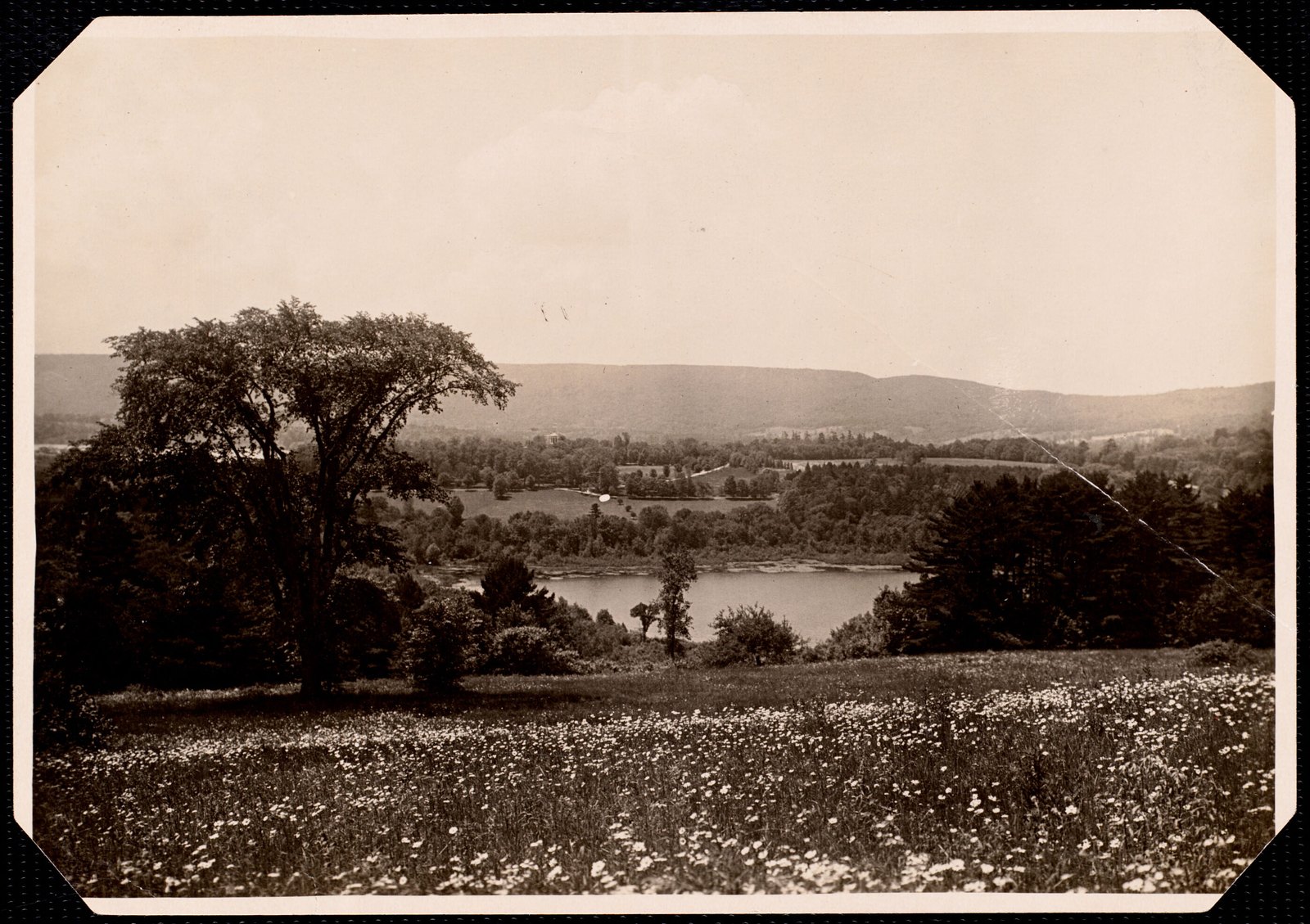 The Mount: field of flowers and Laurel Lake. About 1902–1918.