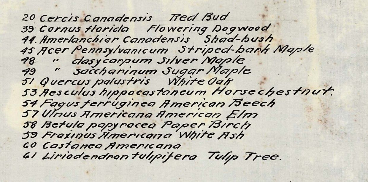 Plan 72, 19 October 1893 — “Planting Plan for Fall of 1893.” Fourteen entries, every one a tree. Numbers 57, 59 and 60 are the elm, the ash and the chestnut.