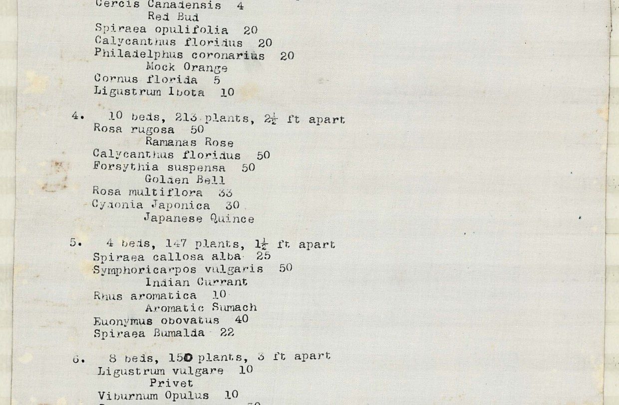 Plan 121-sh2. The typed schedule, with the beds, the counts and the spacing for each group.