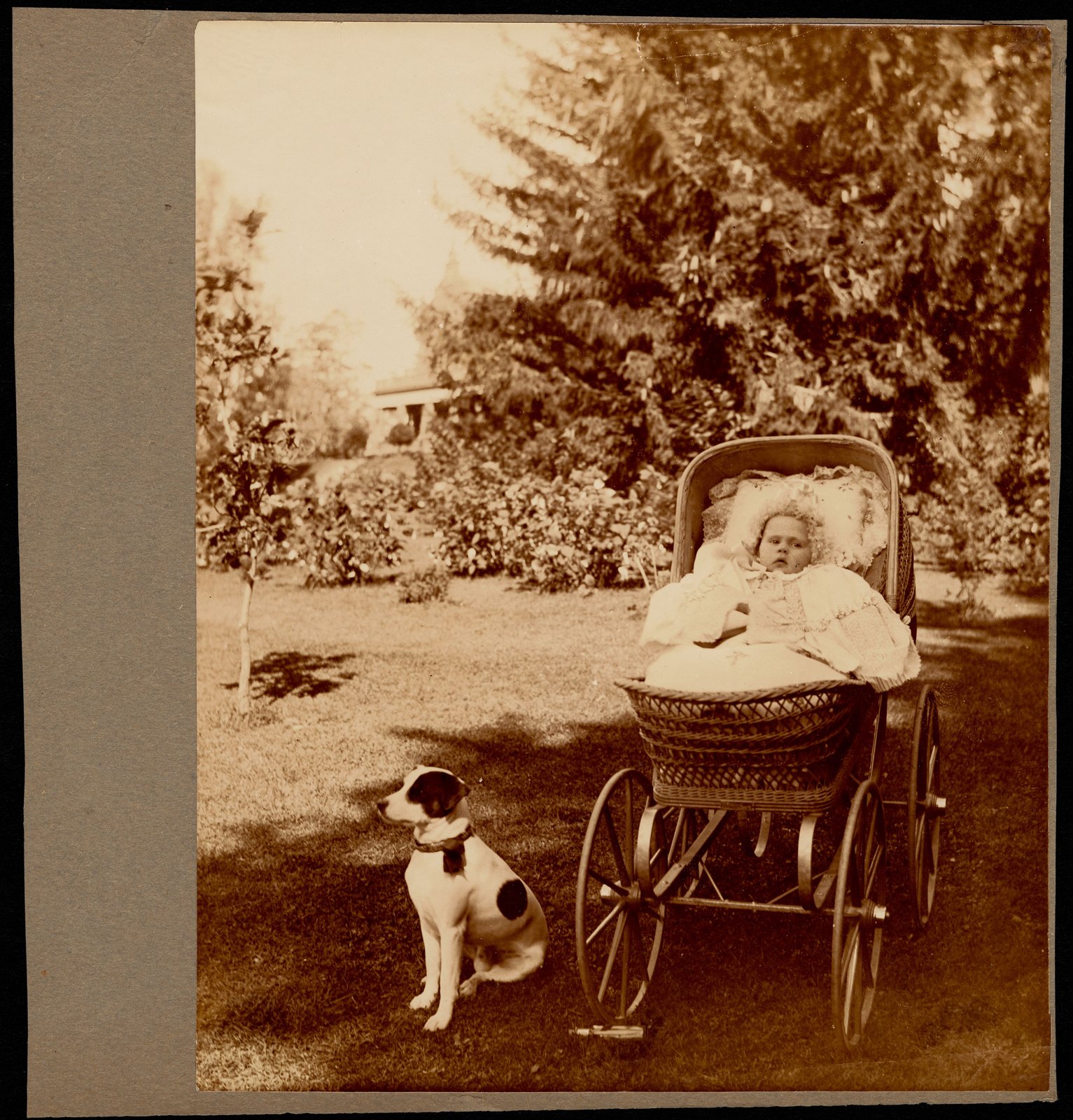 Sarah Morgan and dog. about 1893.