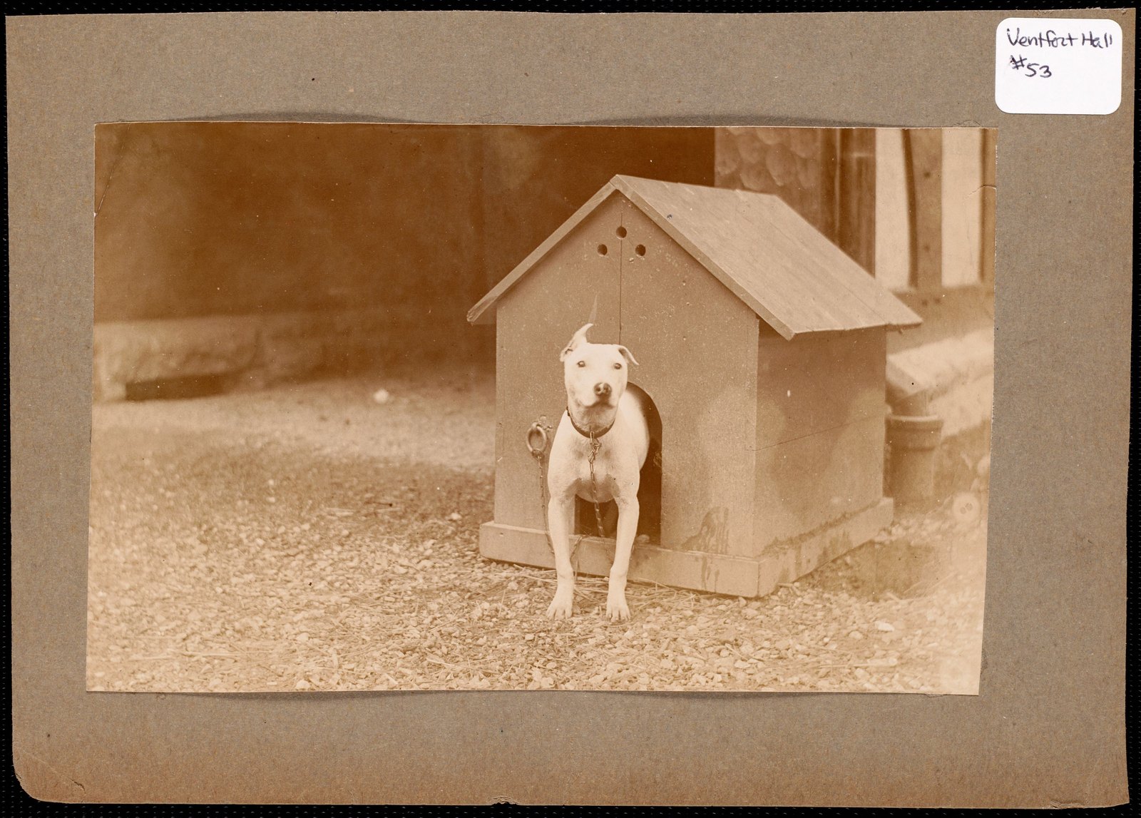 Ventfort Hall: dog in doghouse. about 1893.