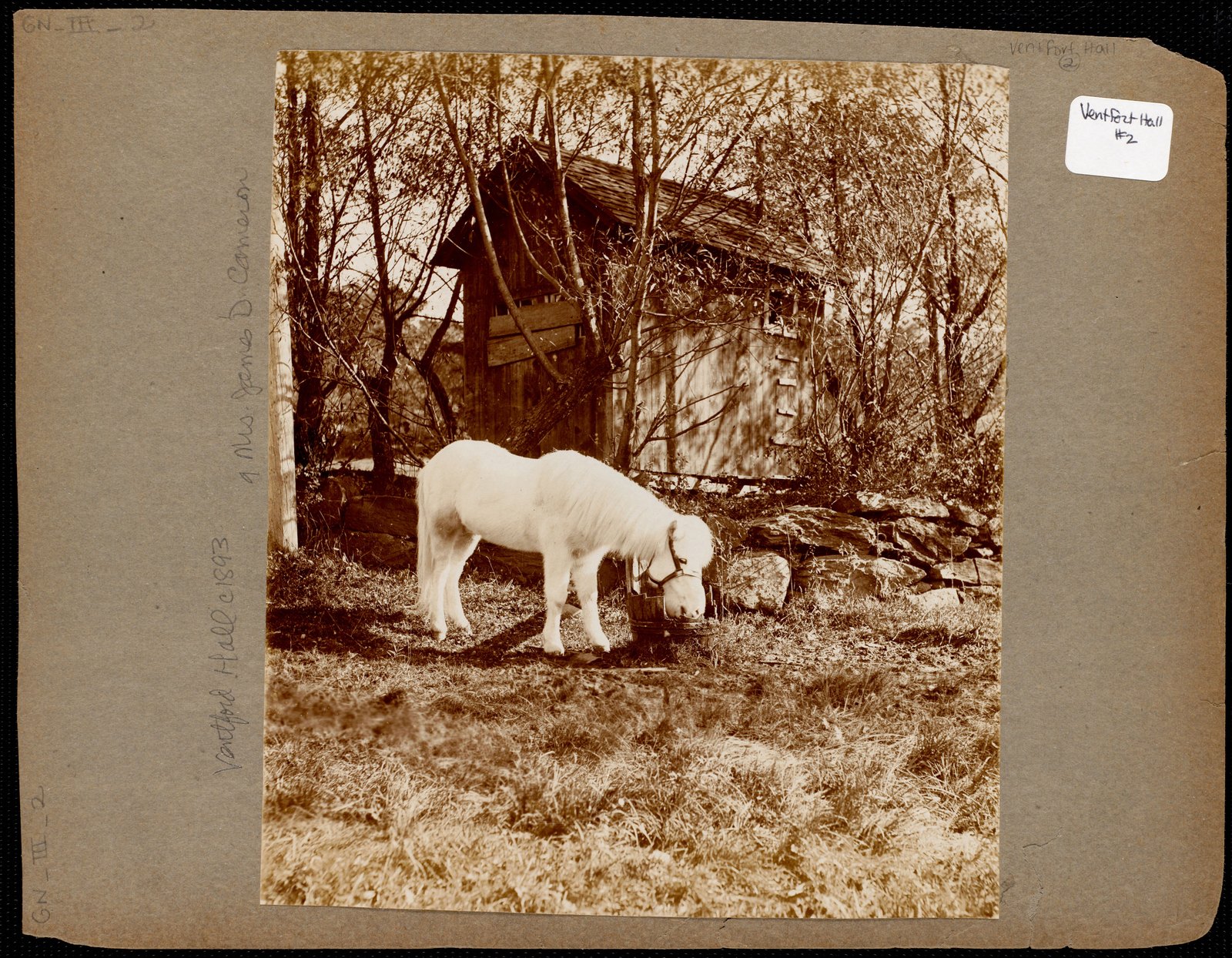 Ventfort Hall: white pony and shed. about 1893.