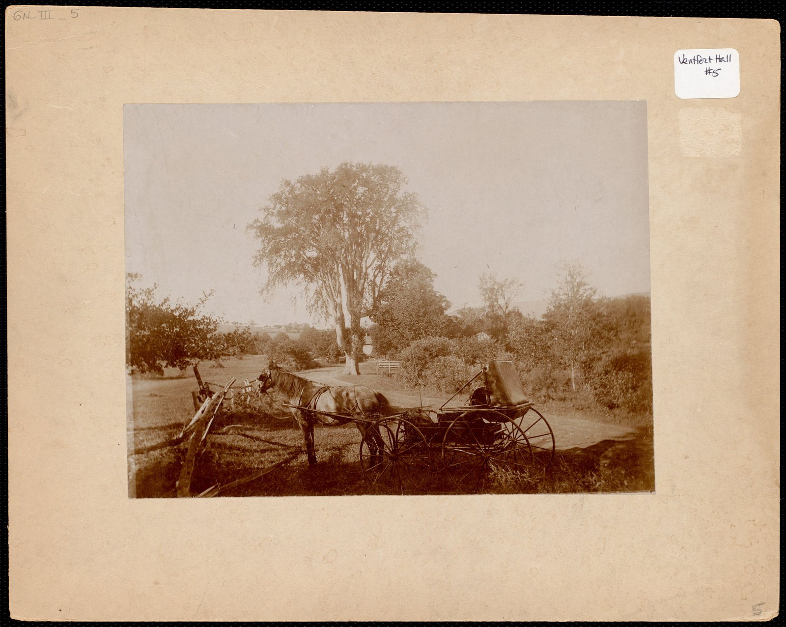 Horse and carriage on the road from Lenox to Stockbridge. about 1893–1915.