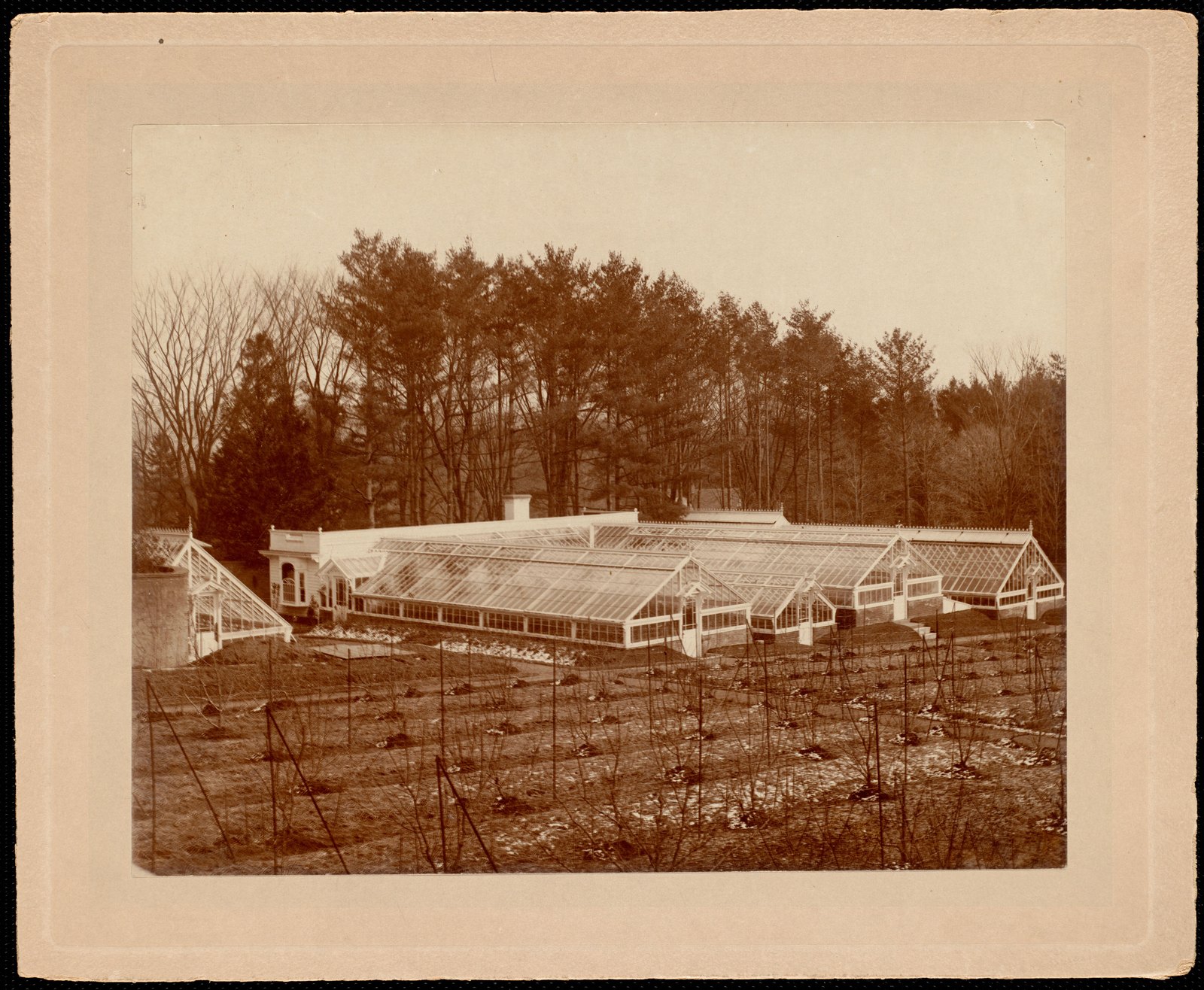 Ventfort Hall: greenhouses. about 1893–1901.