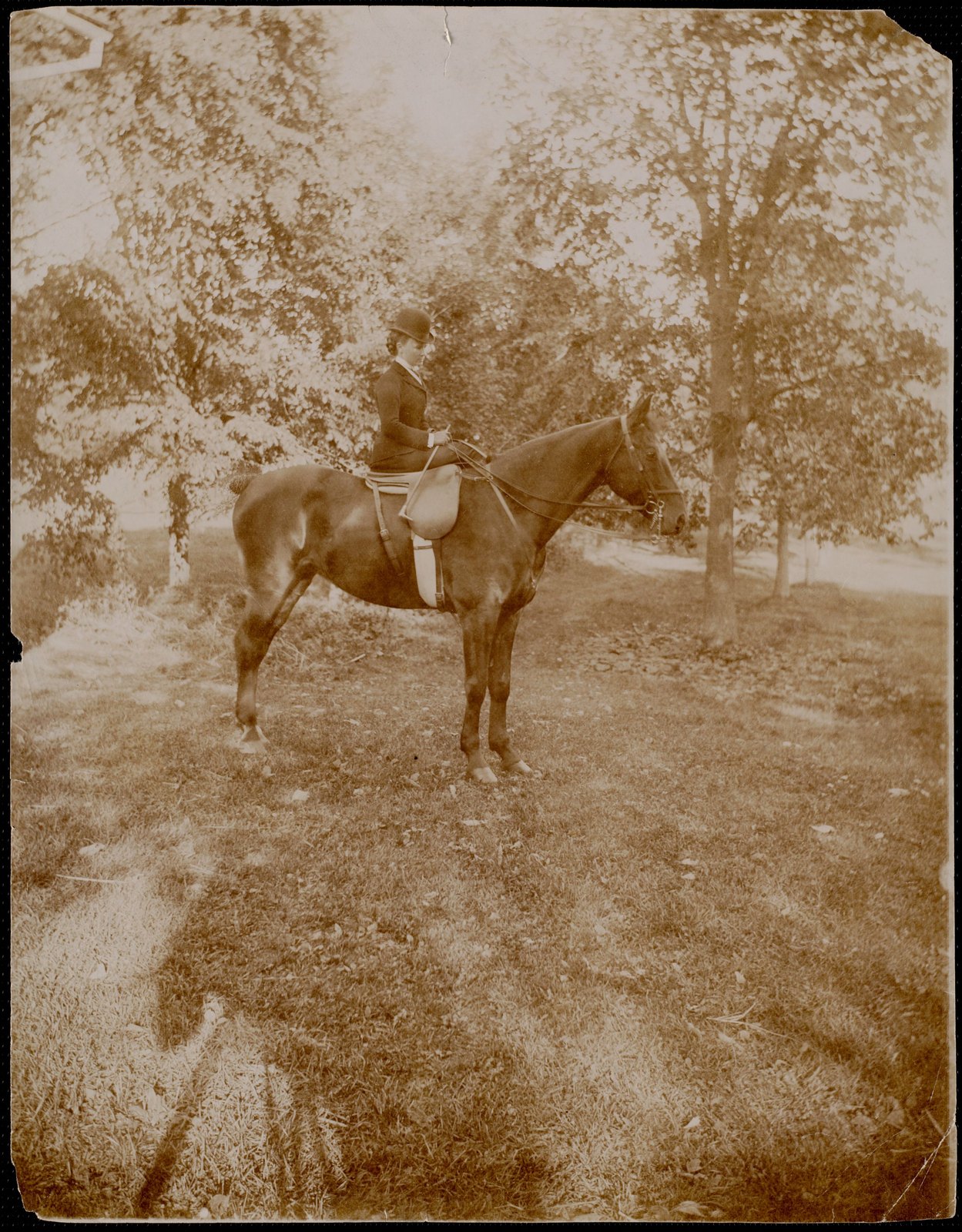 Miss Kate Cary: on horseback. about 1895.