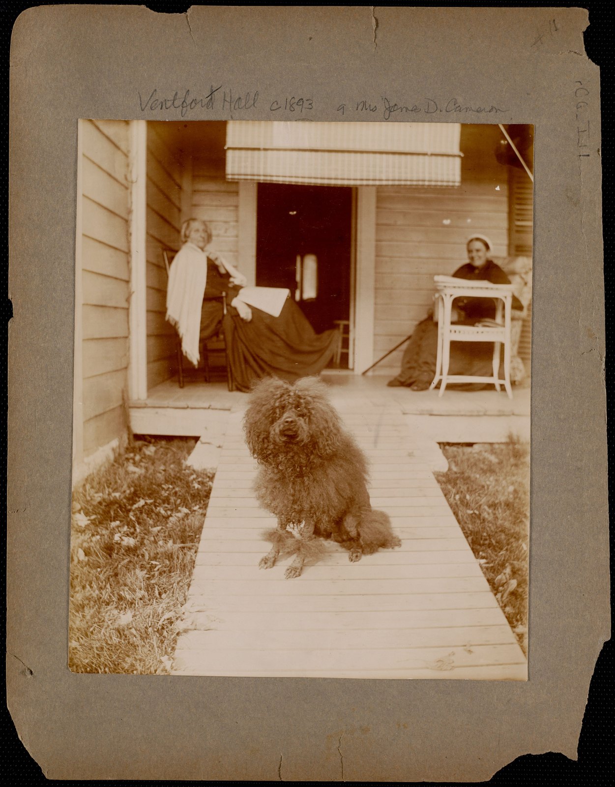 Ventfort Hall: two ladies & dog on porch. about 1894.