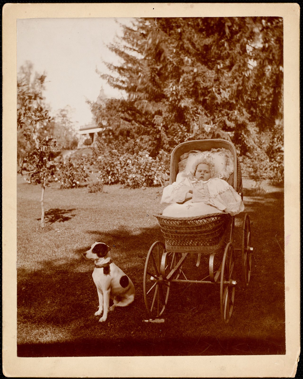 Sarah Morgan & dog. about 1893.