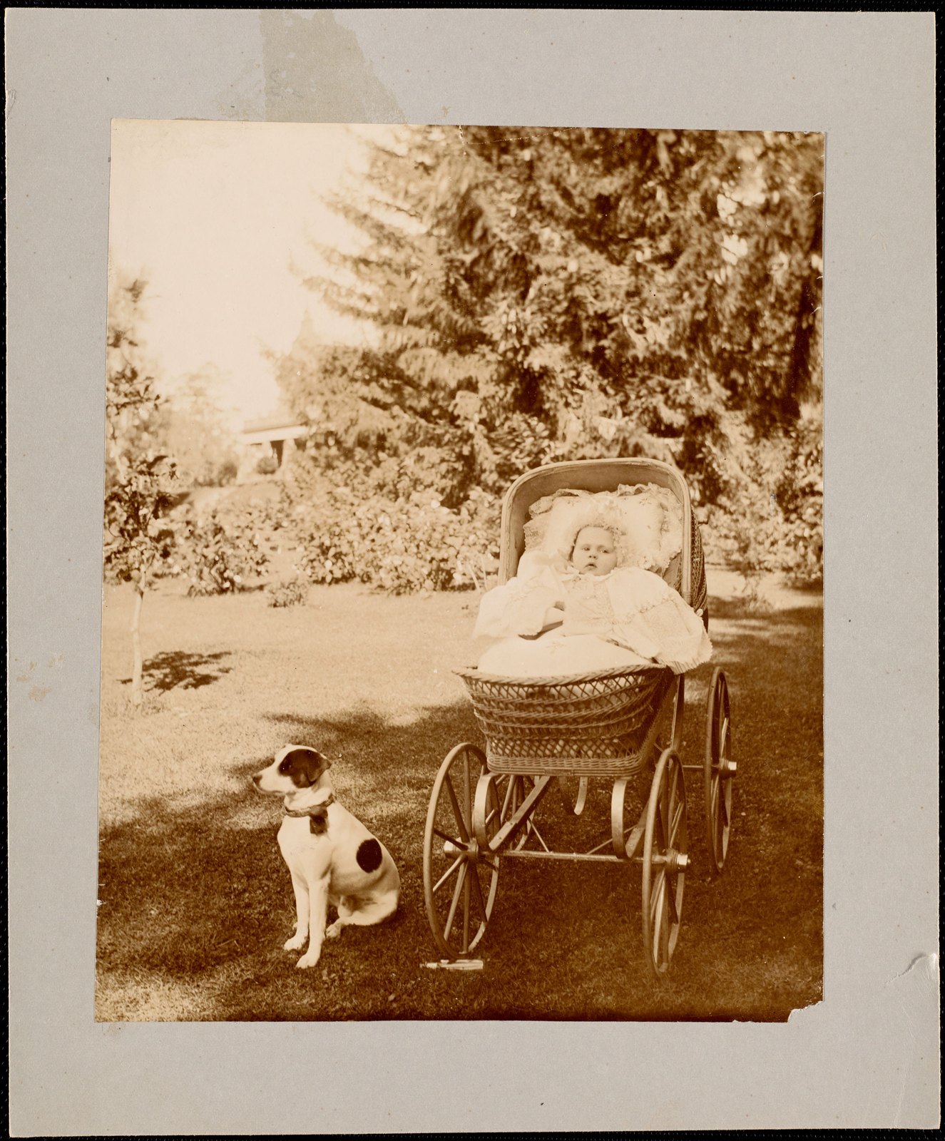 Sarah Morgan & dog. about 1893.