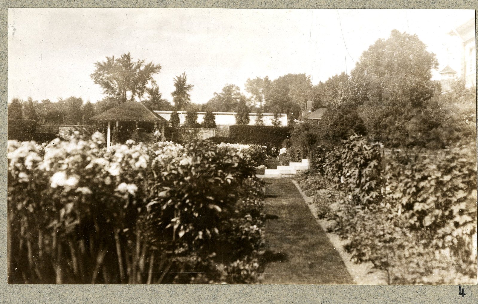 The border and the rose beds. Print 4.