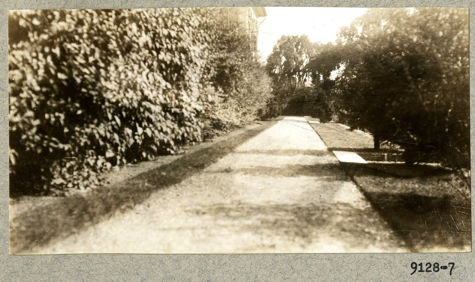 The walk under the shrub border. Print 9128-7.