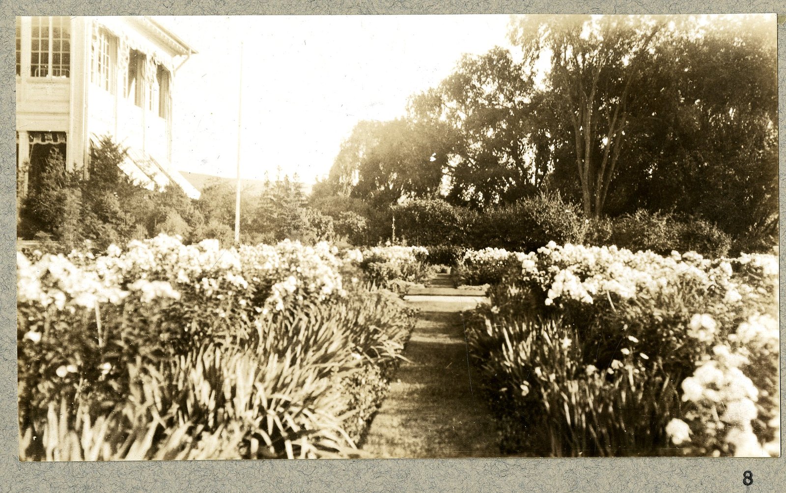 The border with the house beyond. Print 8.