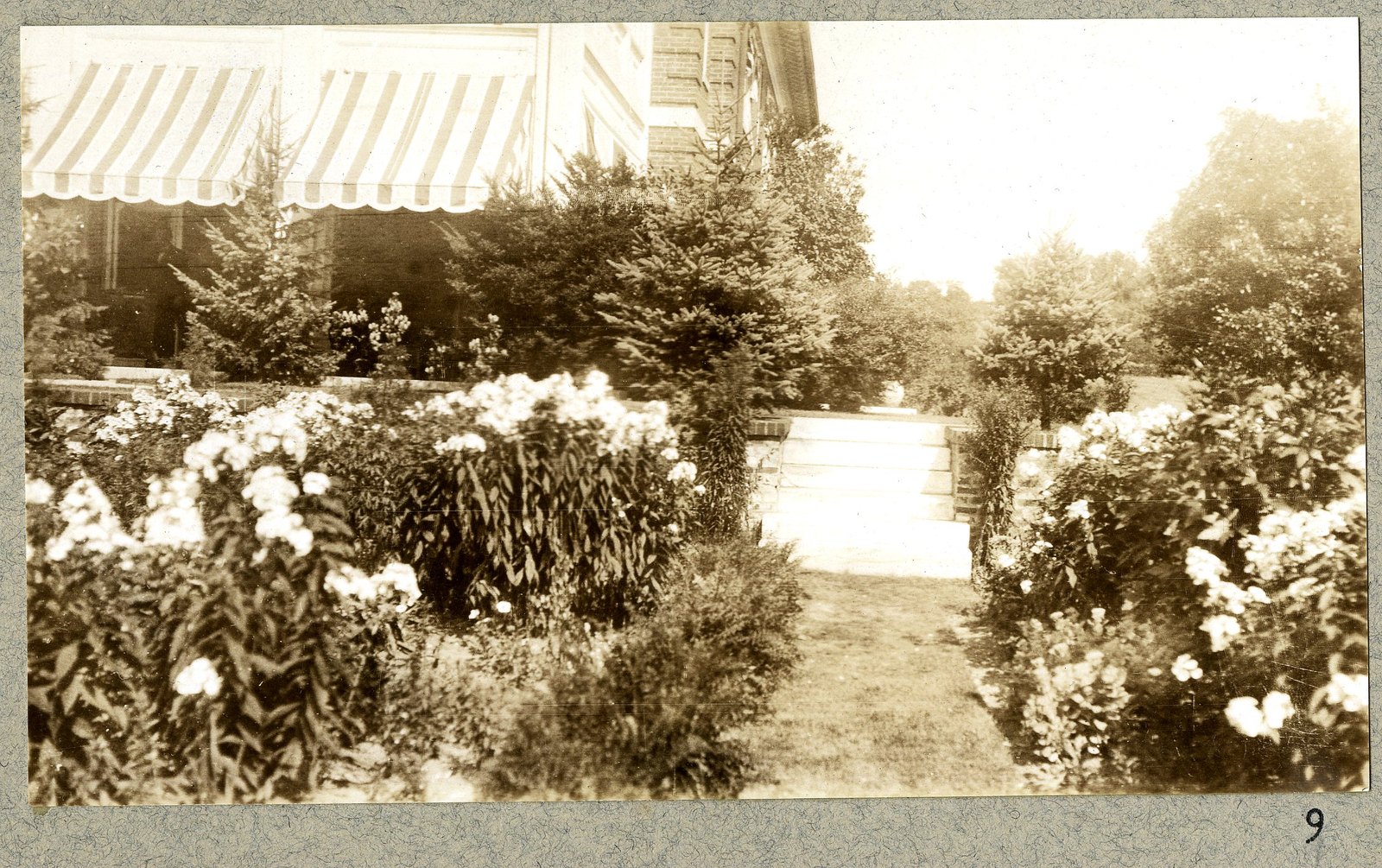 The awnings of the house above the planting. Print 9.