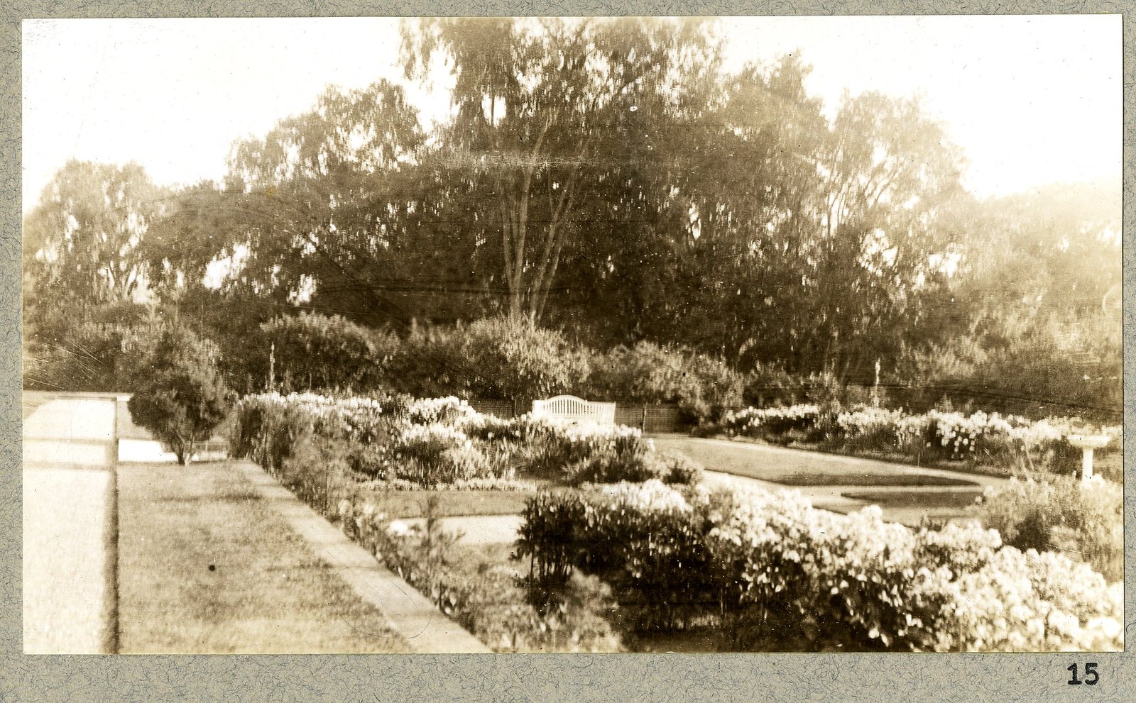 The garden across the borders from the walk. Print 15.