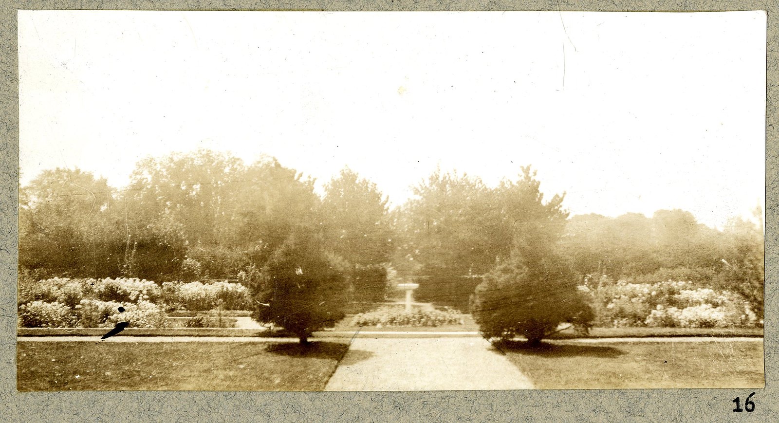 The garden with the two clipped specimens flanking the axis. Print 16.