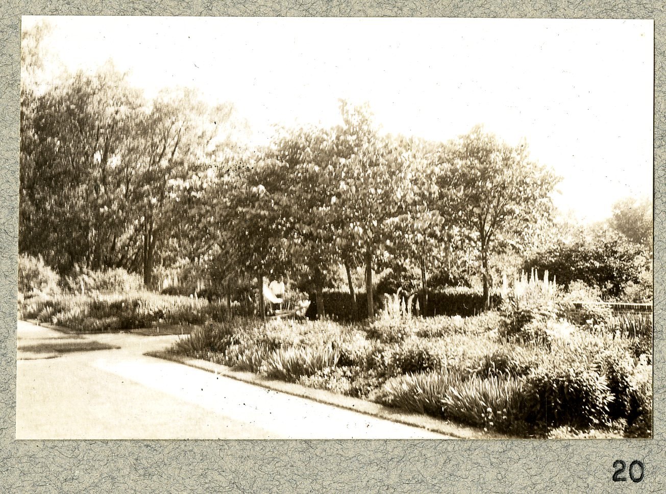 A narrow walk between the beds. Print 19.