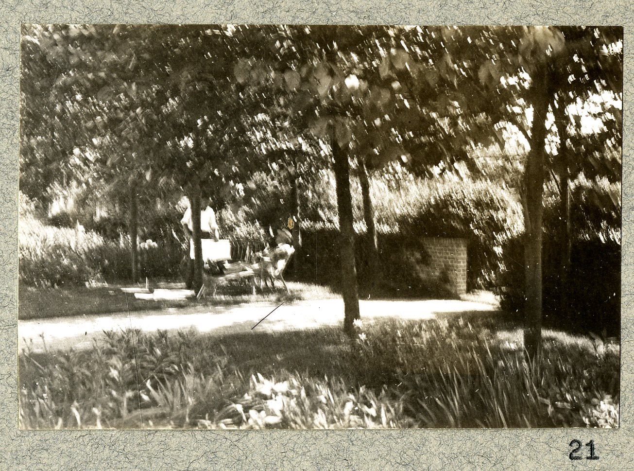 The shrub planting from the drive. Print 20.