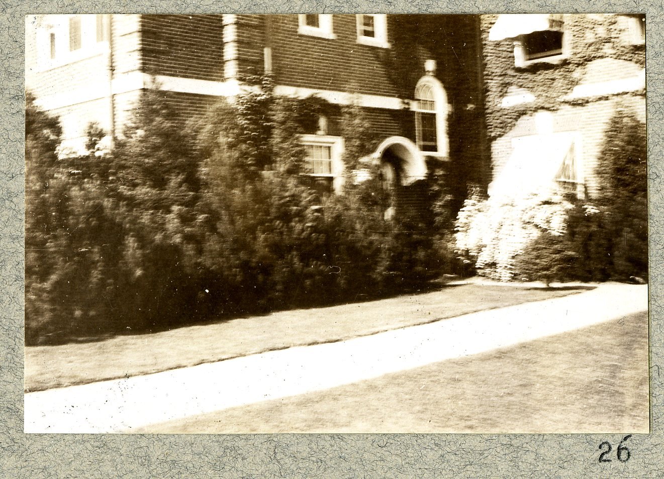 The porch and the entrance, with evergreens set close. Print 25.