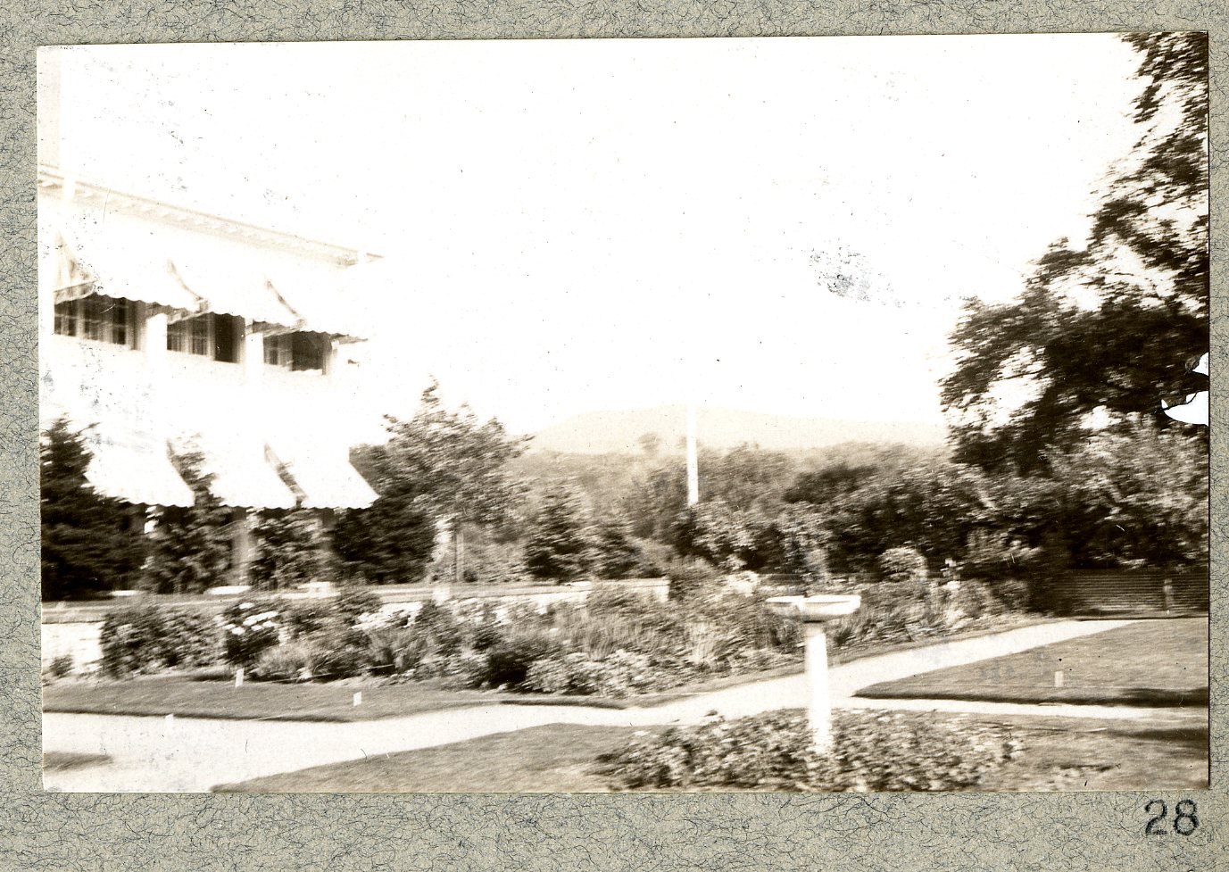 The planting along the drive, with the house behind. Print 27.