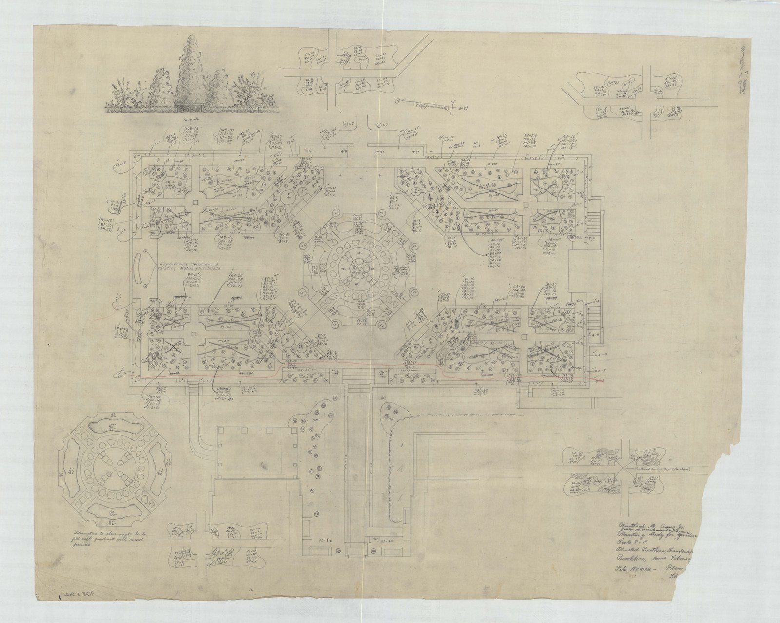 Plan 6, sheet 2, no date. “Planting Study For Garden.” Inventory note: “Sketches with planting numbers. Alternative for quadrant.”