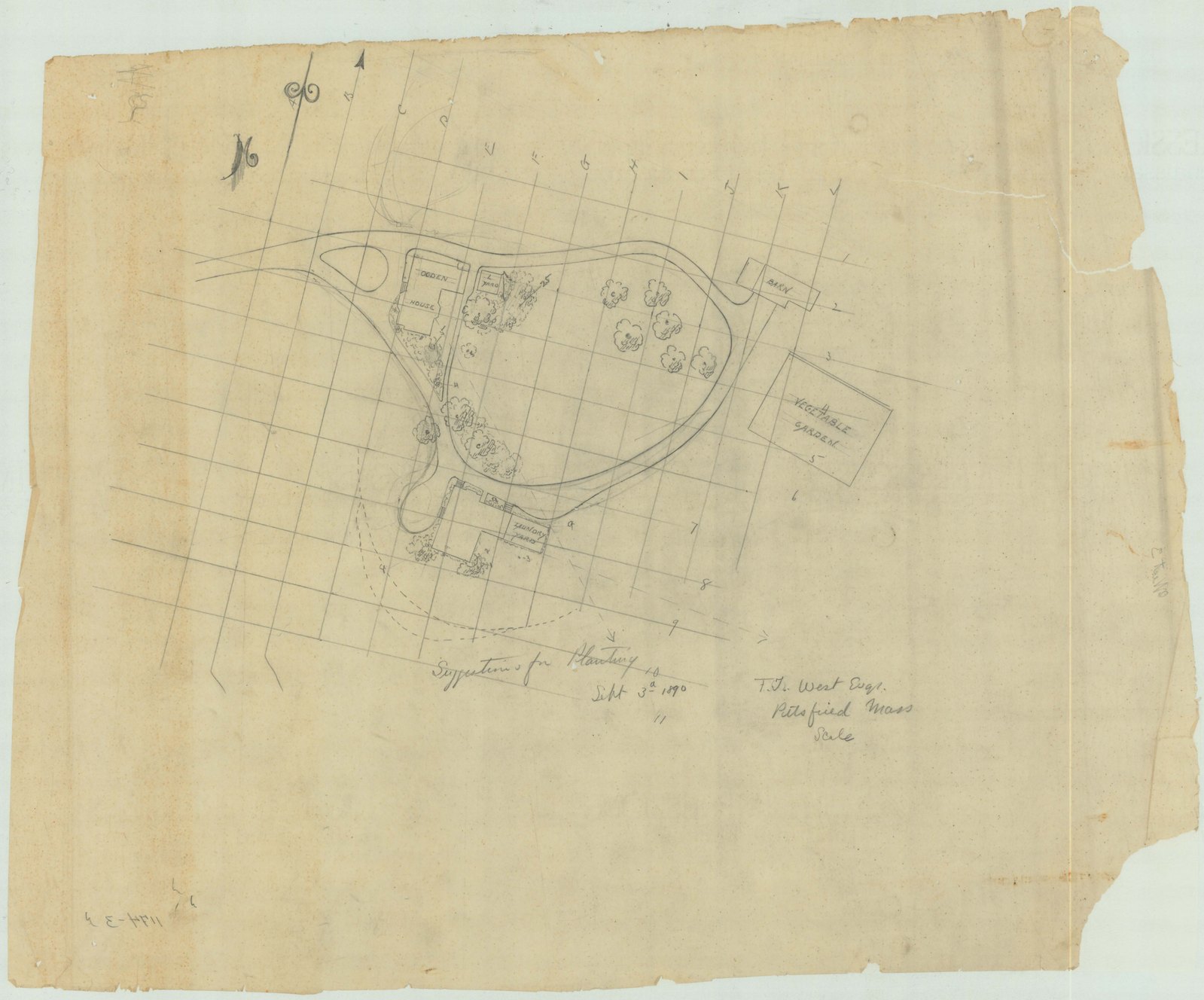 Job 01174, plan 3, 3 September 1890. “F.T. West Esq. Pittsfield, Mass. Suggestions For Planting. Scale 1”= 60’.” Inventory note: “Ogden House, L. Yard, Barn, Vegetable Garden, House, Laundry Yard. Grid with Letters and Numbers.”