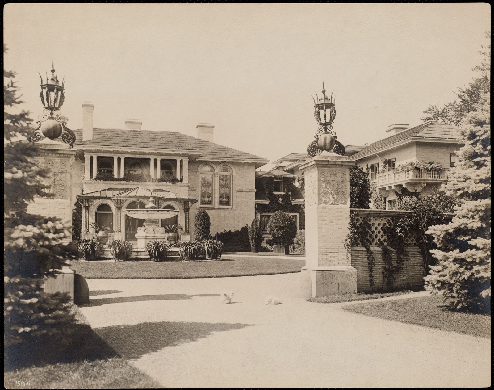 The front, with two dogs.