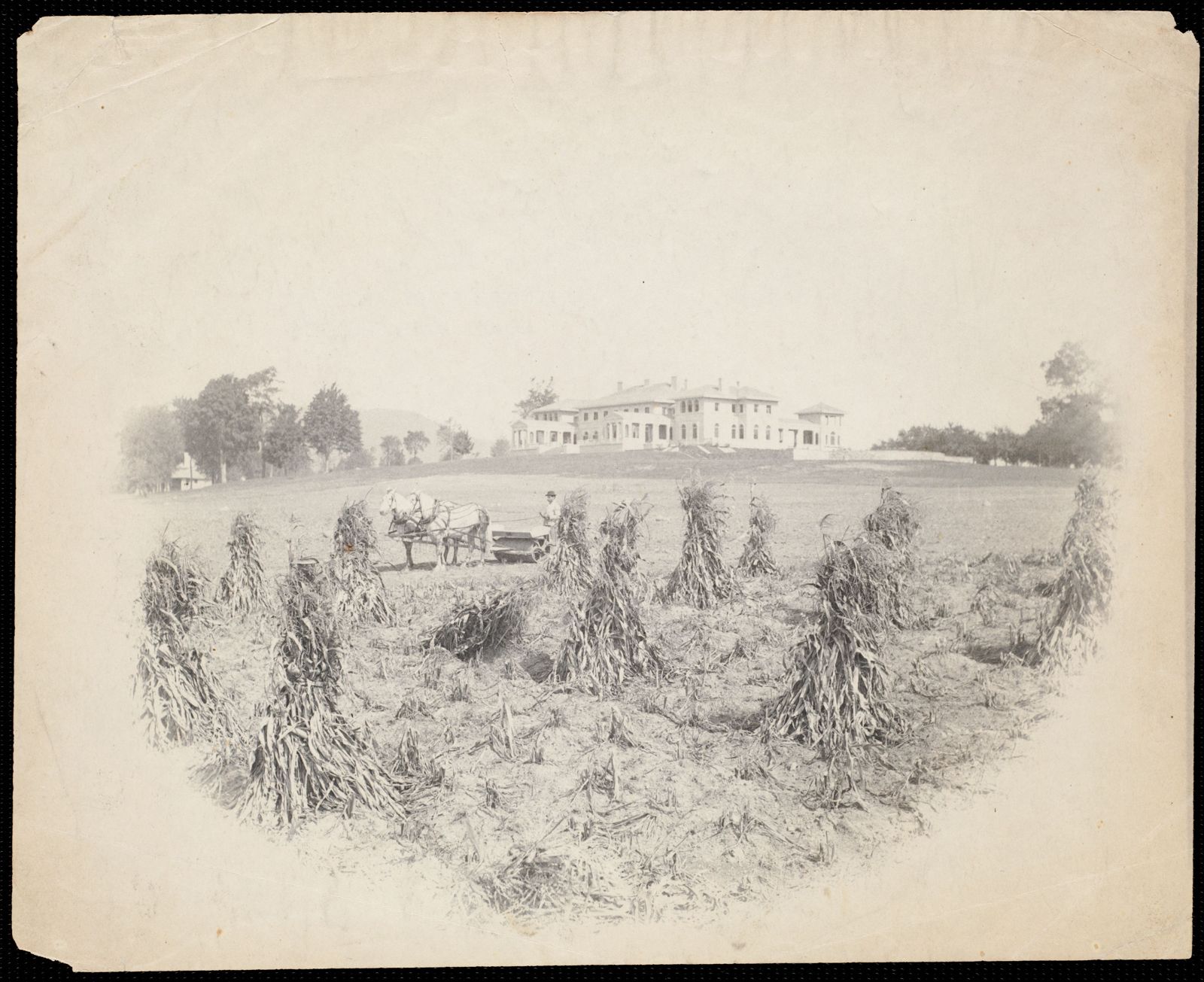 Corn being harvested in front of the house.