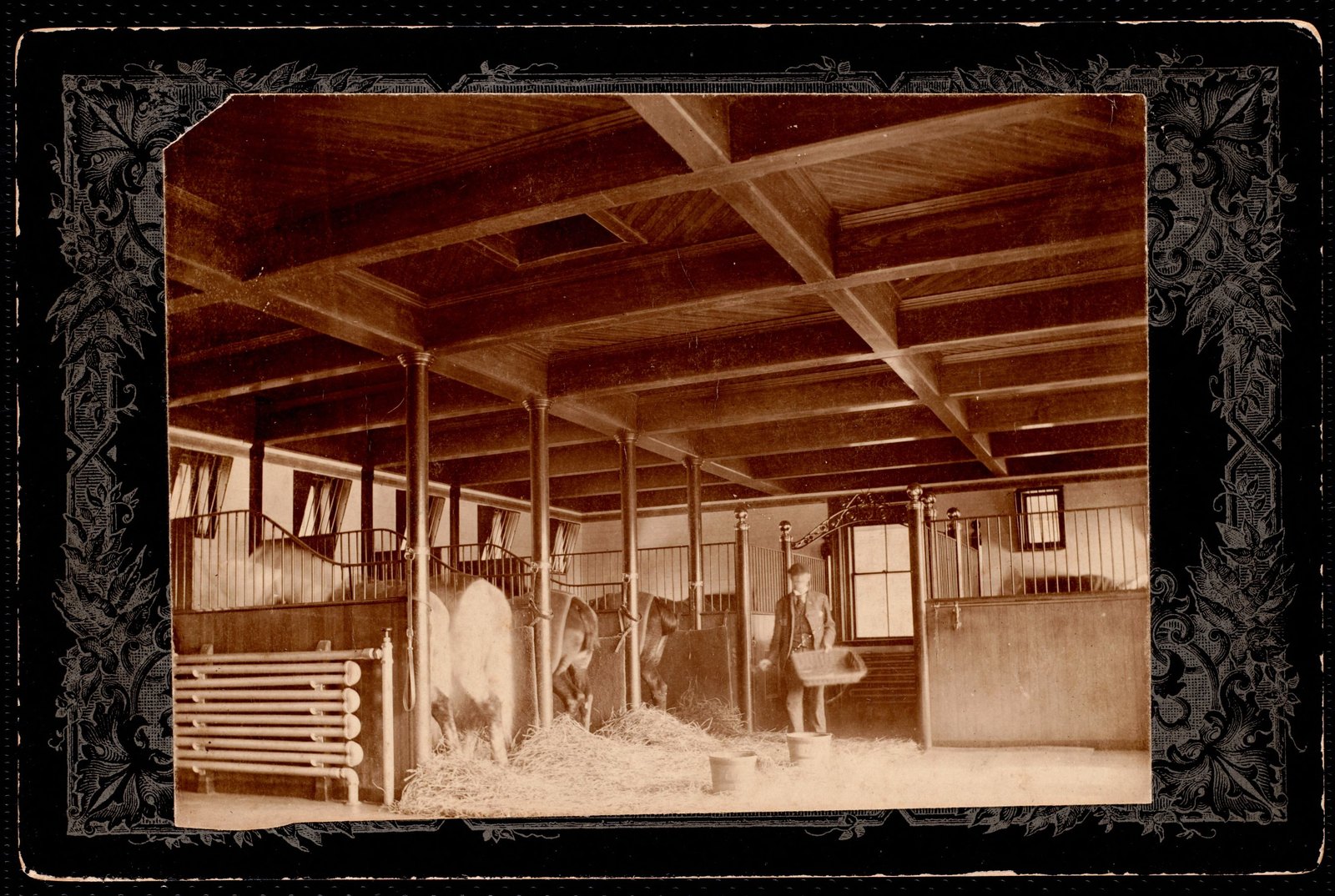 Pinecroft: interior of stable. about 1900.