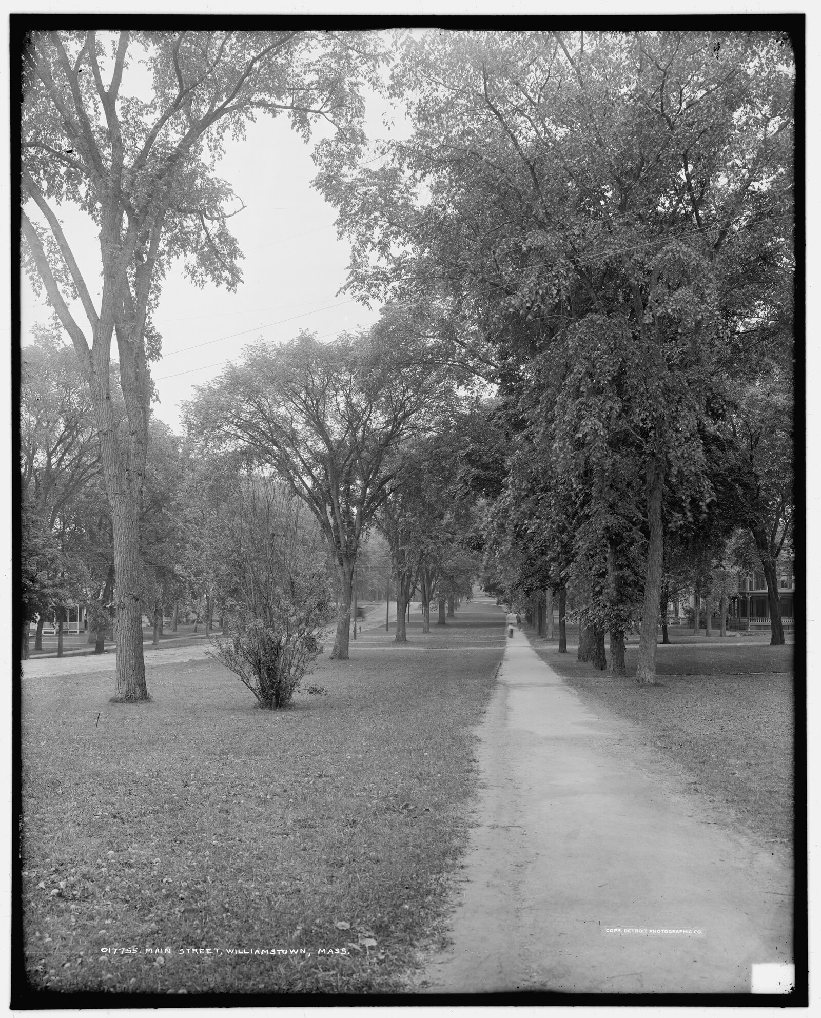 “Main Street, Williamstown, Mass.” Detroit Publishing negative 017755, catalogued 1904 — two years after the first Olmsted plan and five before the Garfield gardens.