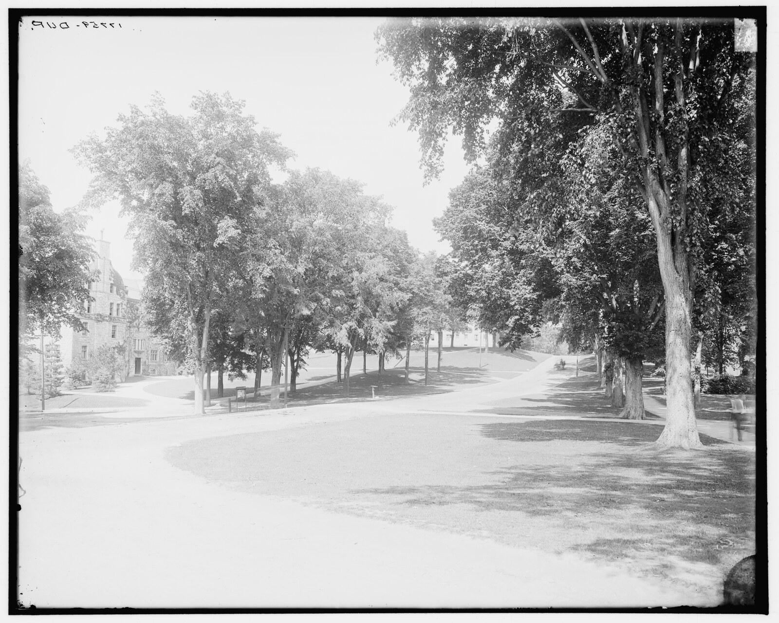 “[Campus and Main Street, Williams College, Williamstown, Mass.]” Detroit Publishing negative 017759, catalogued 1900. The brackets are the Library’s: the title is taken from the negative’s jacket rather than lettered on the plate.