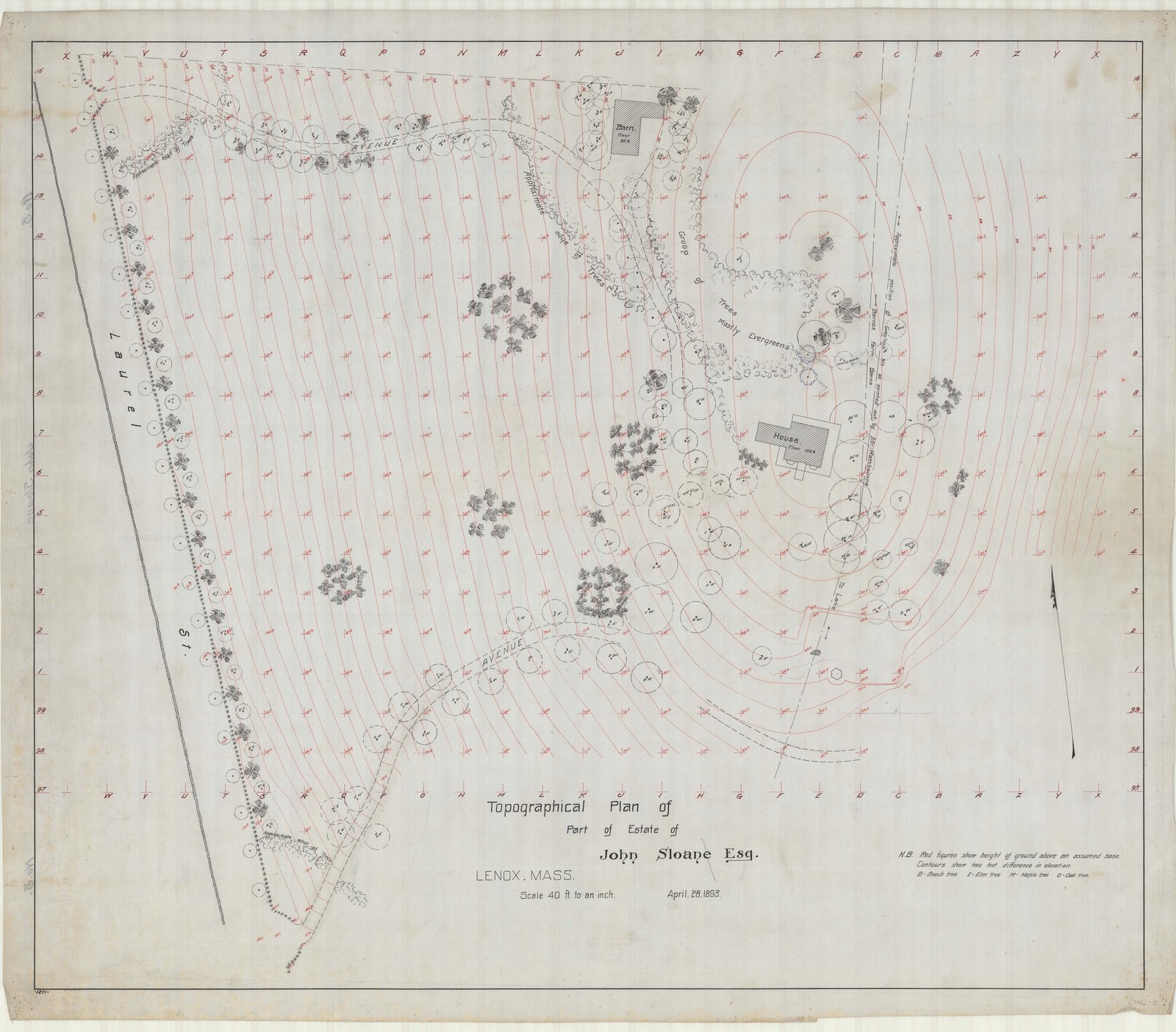 Topographical plan of part of the estate, the contours in red, with an avenue of trees and a barn marked. Olmsted job 01346, plan 3.