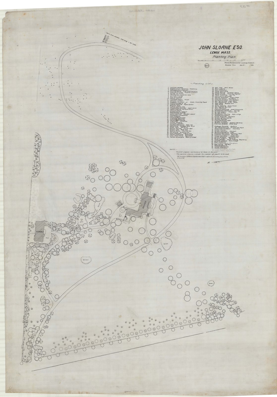 “JOHN SLOANE ESQ. LENOX MASS. Planting Plan.” Olmsted, Olmsted and Eliot, Brookline Mass., Jan. 3rd 1894, plan no. 37 — with a numbered Planting List running to more than fifty entries: “1 Lonicera coerulea. 2 Symphoricarpos racemosus Snowberry. 3 Hydrangea paniculata grfl. 4 Viburnum Opulus High-bush Cranberry. 5 Viburnum plicatum Japanese Snowball. 6 Spiraea van Houttei…” and, at the far end, “47 Cornus Mascula Cornelian Cherry. 48 Cornus florida Flowering Dogwood. 49 Ptelea trifoliata Hop Tree. 51 Maclura aurantiaca Osage Orange. 52 Carpinus betulus Hornbeam.” The word “Preliminary” has been erased from the title and is still faintly visible.