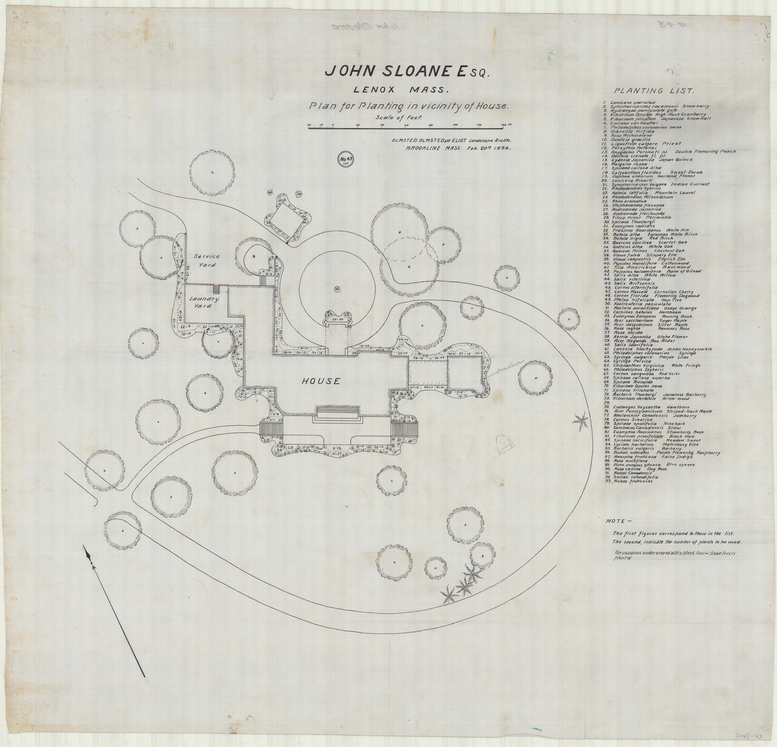 “JOHN SLOANE ESQ. LENOX MASS. Plan for Planting in vicinity of House.” Olmsted, Olmsted and Eliot, Landscape Archts, Brookline Mass., Feb. 20th 1894. Plan no. 43, with the planting list written down the right-hand edge.