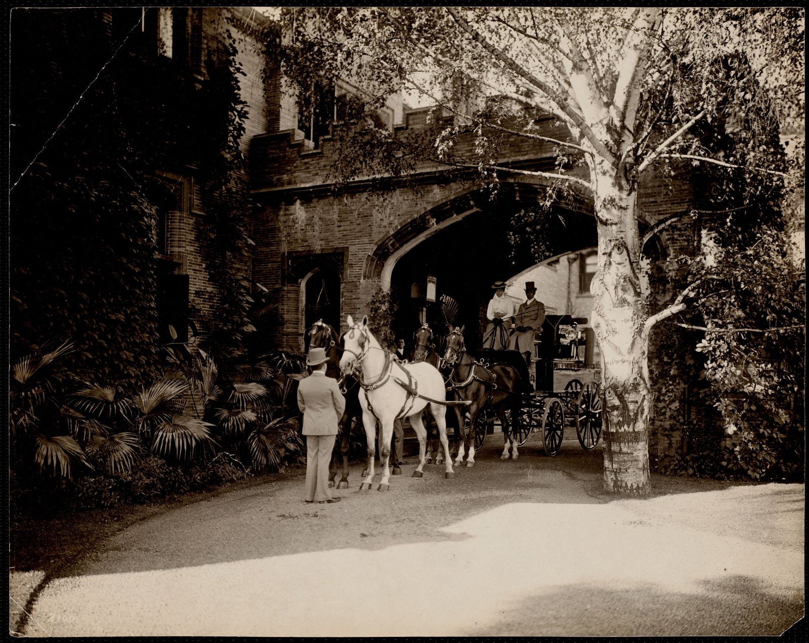 Wyndhurst: coach and horses. about 1894–1915.