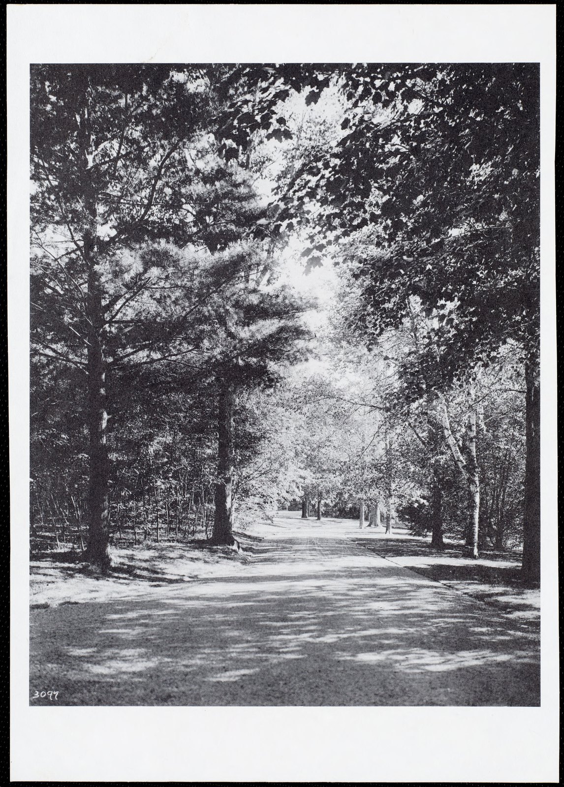 Wyndhurst. about 1894–1910.