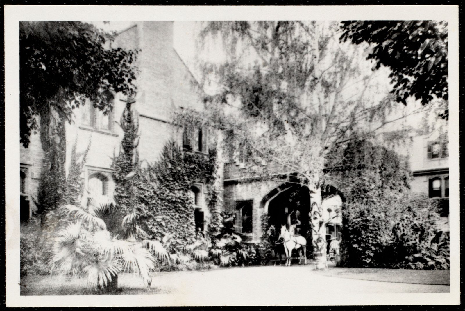 Wyndhurst. about 1894–1910.