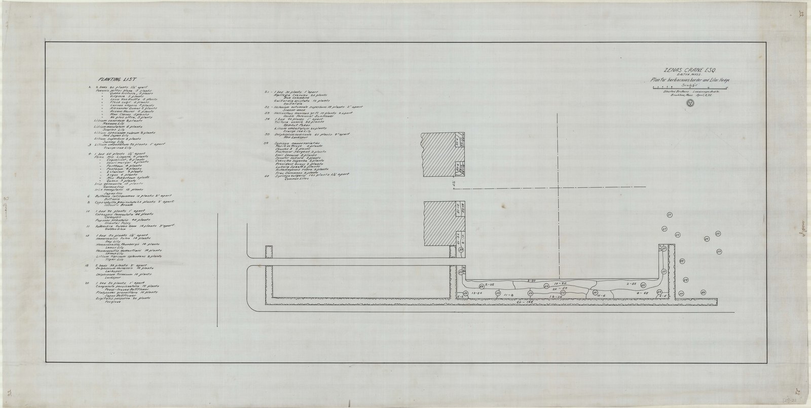 Plan 22, 8 April 1902. “ZENAS CRANE, ESQ.; DALTON, MA.; PLAN FOR HERBACEOUS BORDER AND LILAC HEDGE; SCALE 1/8” = 1’.” Sheet 22⅜ by 44 inches. Inventory note: “OBLA; COPY OF 16-21; INCLUDES PLANTING LIST.”