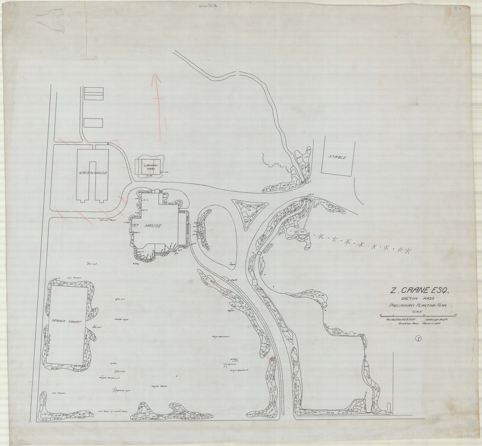 Plan 7, sheet 1, 17 March 1897. “Z. CRANE, ESQ.; DALTON, MA; PRELIMINARY PLANTING PLAN; SCALE 20’=1” LINEAR.” Sheet 35¼ by 38 inches. Inventory note: “OO+E, LA; COPY OF #5.”